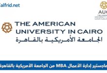 MBA الجامعة الأمريكية