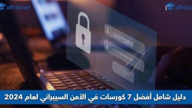 الأمن السيبراني